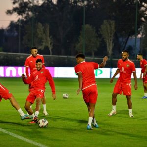 "الأسود" يفدون على مركب محمد السادس