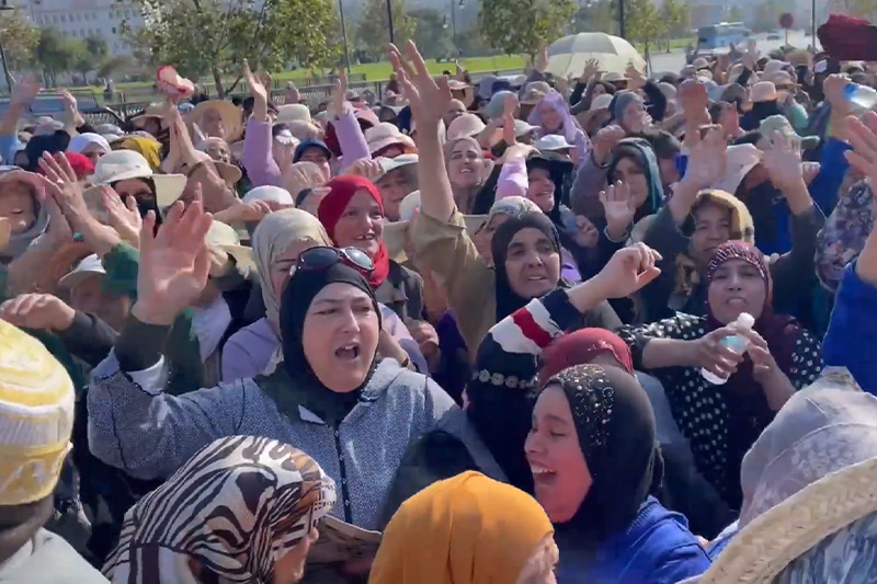 القضاء ينتصر لحومة الشوك