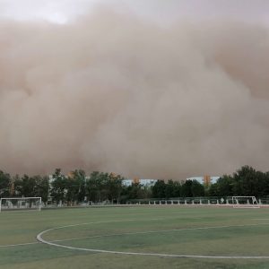 دراسة علمية ترصد انخفاض وتيرة العواصف الترابية بمنطقة شمال إفريقيا