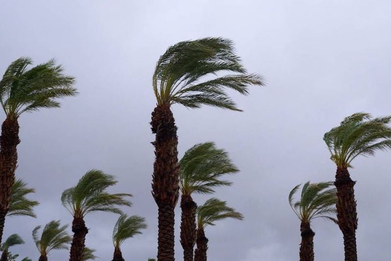 رياح قوية وتساقطات ثلجية في عدة مناطق