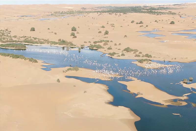 أشهر وديان الصحراء المغربية