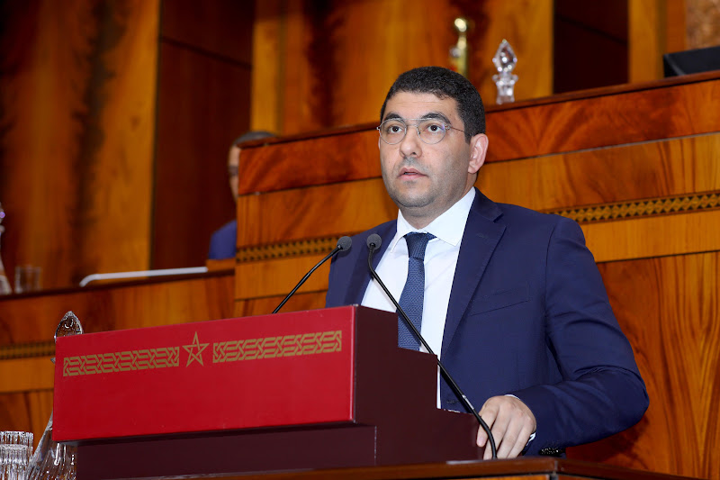 بنسعيد يتفاعل مع مزاعم تحرش بالمخيمات
