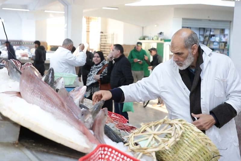أسعار السمك في أسواق الرباط
