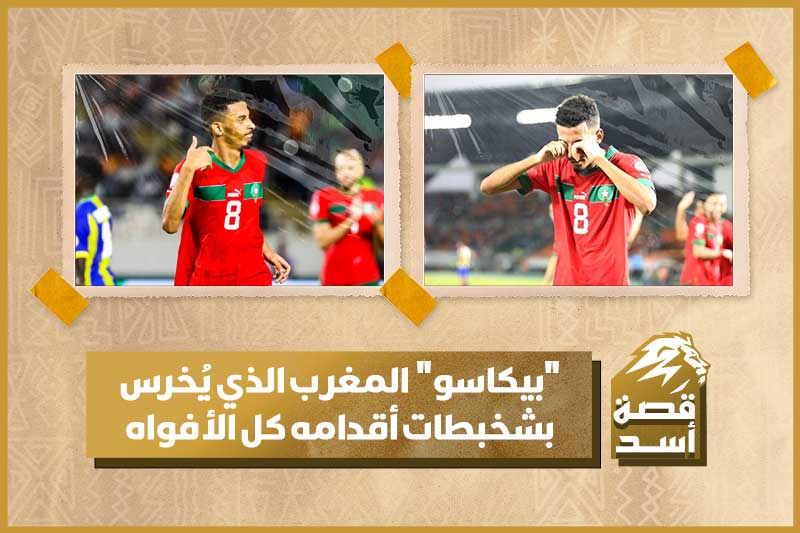 قصة أسد | أوناحي بيكاسو المغرب