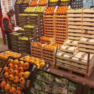حملات مقاطعة واستهداف للشاحنات .. فلاحة المغرب أمام ضغط الإسبان