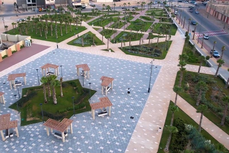 النخيل يزين شوارع العيون