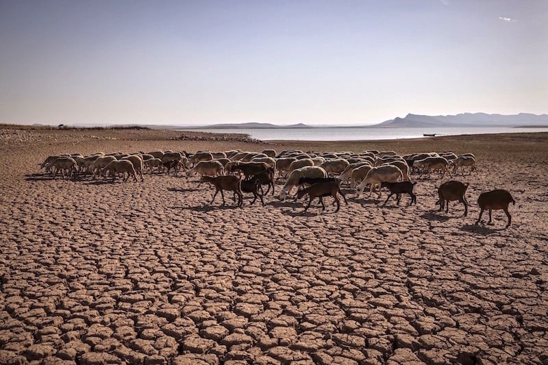 غالبية المغاربة يعتبرون التغير المناخي تهديداً… والمعرفة البيئية متوسطة