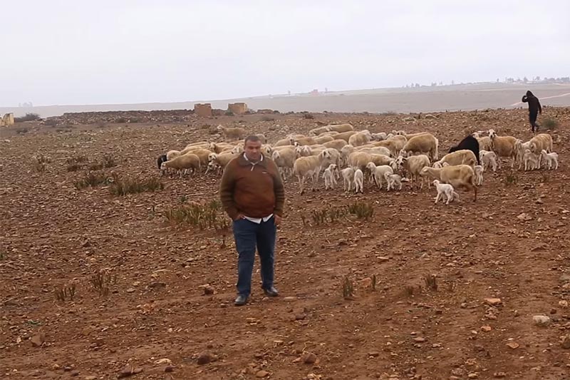 فلاحون يدقون ناقوس الخطر