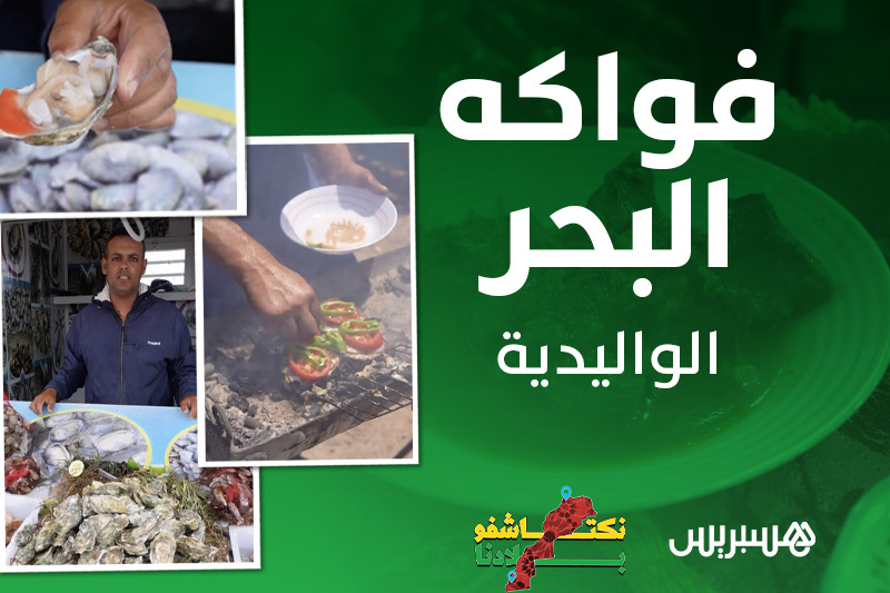 نكتاشفو بلادنا | فواكه بحر الوليدية