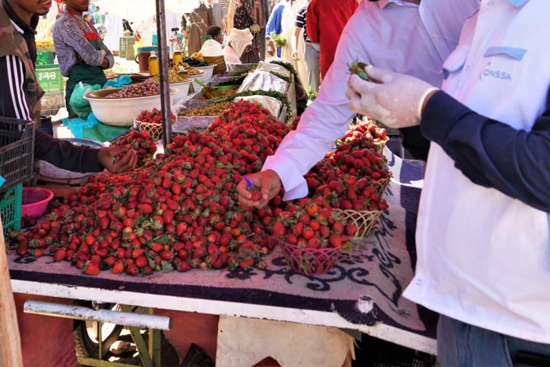 مكتب سلامة المنتجات الغذائية يؤكد خلو الفراولة المغربية من الفيروسات