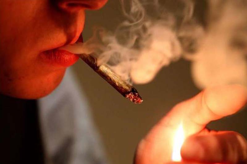 ألمانيا تسمح بتدخين الحشيش في أماكن عامة