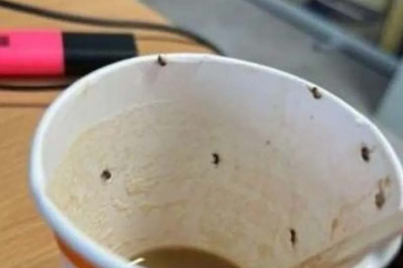 "قهوة بالحشرات" كادت تسلب حياة شابة