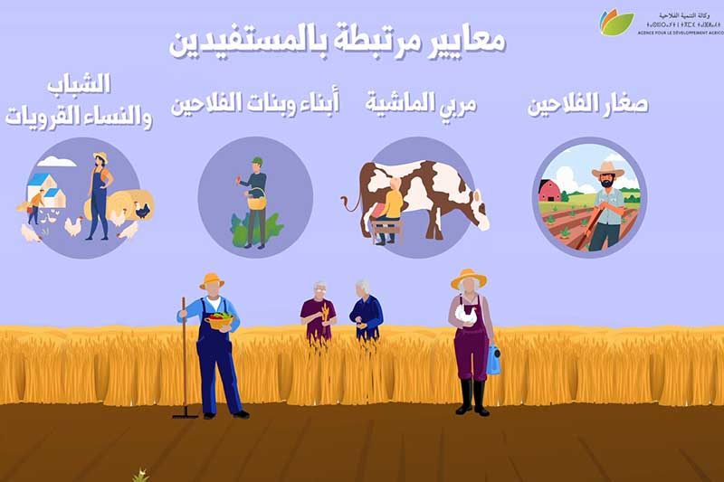 دعم الفلاحة التضامنية