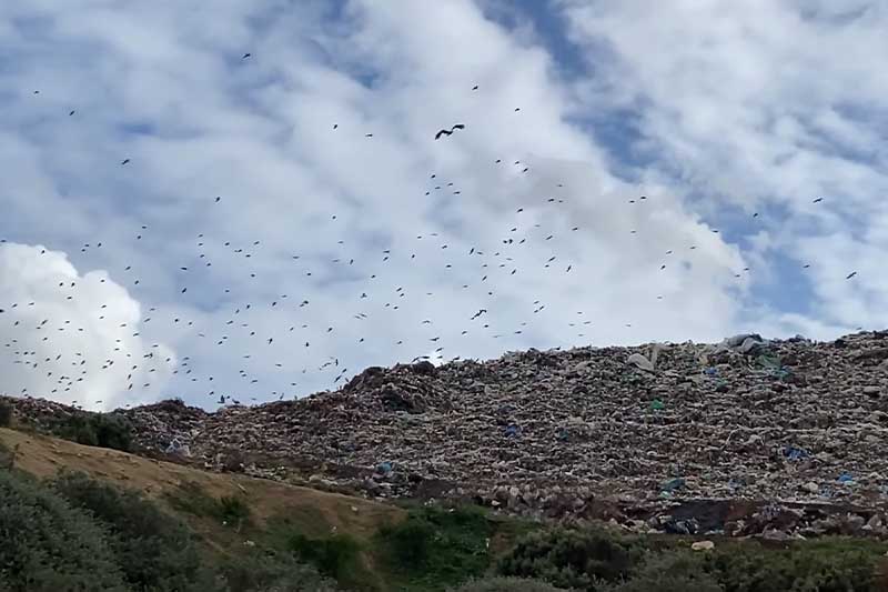 مشاكل ترافق نفايات الجديدة