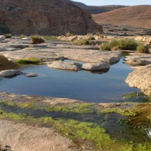 واحة "وين مذكور" في طانطان .. جنة خضراء تلامس المحيط ورمال الصحراء