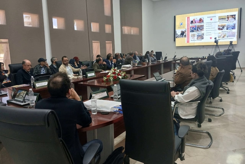 المعهد الملكي للثقافة الأمازيغية يستعرض تدوين وتثمين الموروث الشفهي