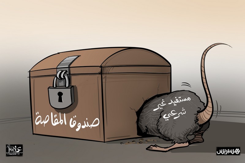 جرذان صندوق المقاصة