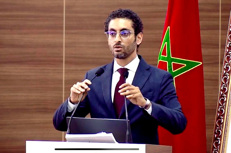 بردي: الرقمنة تدعم التنمية المستدامة