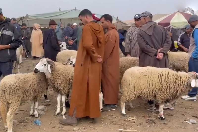 مطالب بإلغاء عيد الأضحى