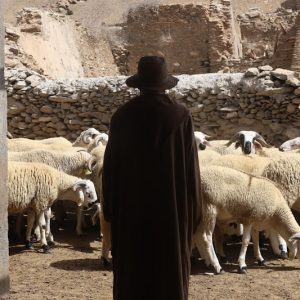 درك السراغنة يطارد سارقي ماشية