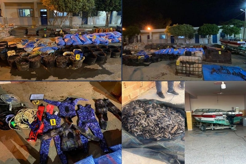 عصابة بالناظور تمارس الصيد غير المشروع