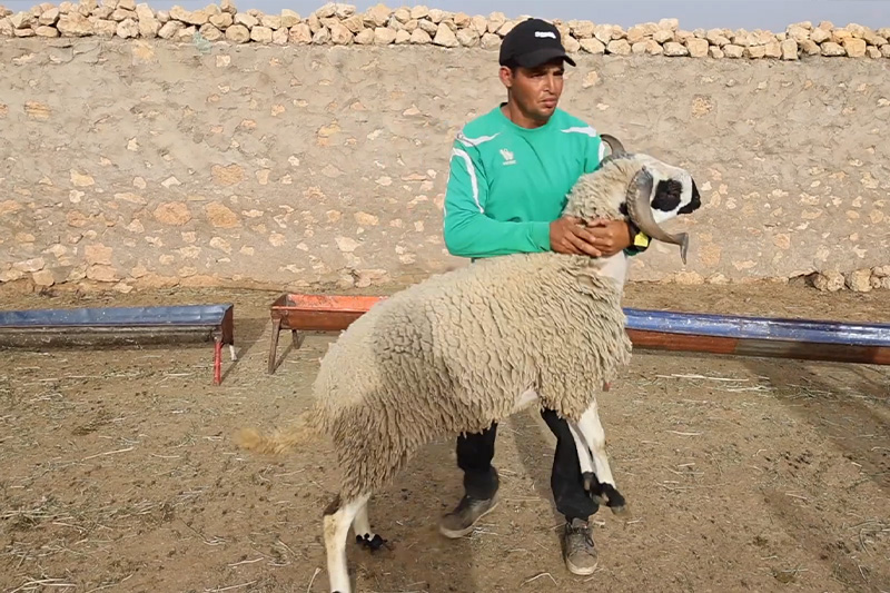 "الصردي" يحتفظ بالجودة
