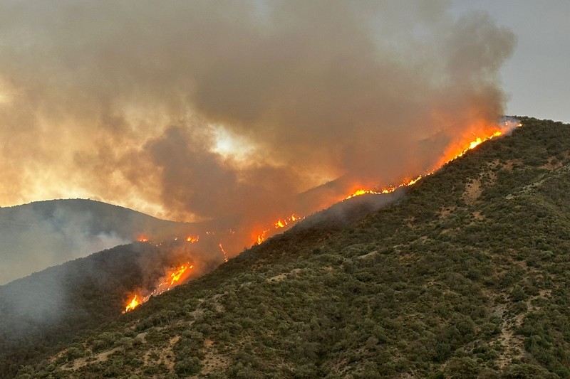 حريق بغابة مغراوة يستنفر إطفائيي تازة