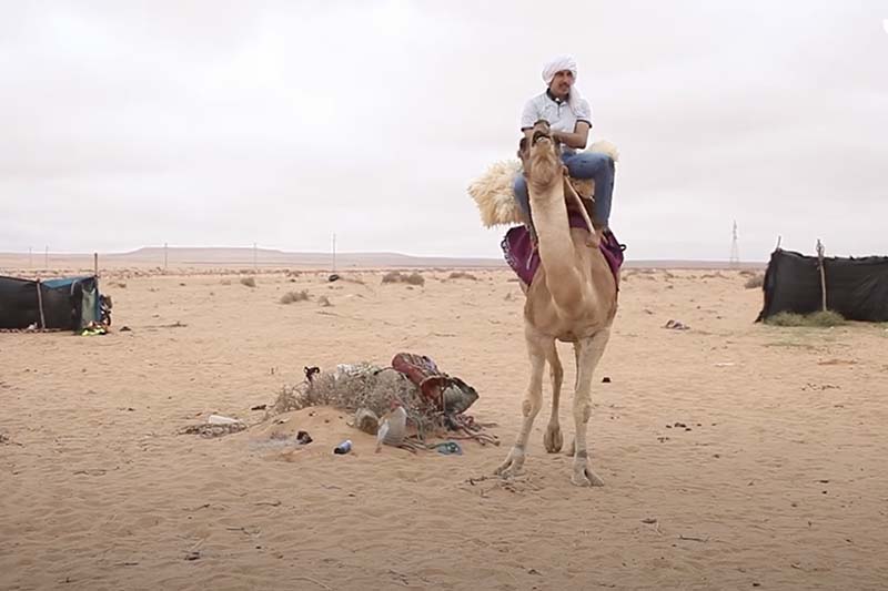 شغوف برياضة الهجن