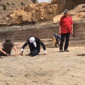 دراسة علمية تقتفي بالمسح التصويري آثار أقدام الديناصورات بإقليم بولمان