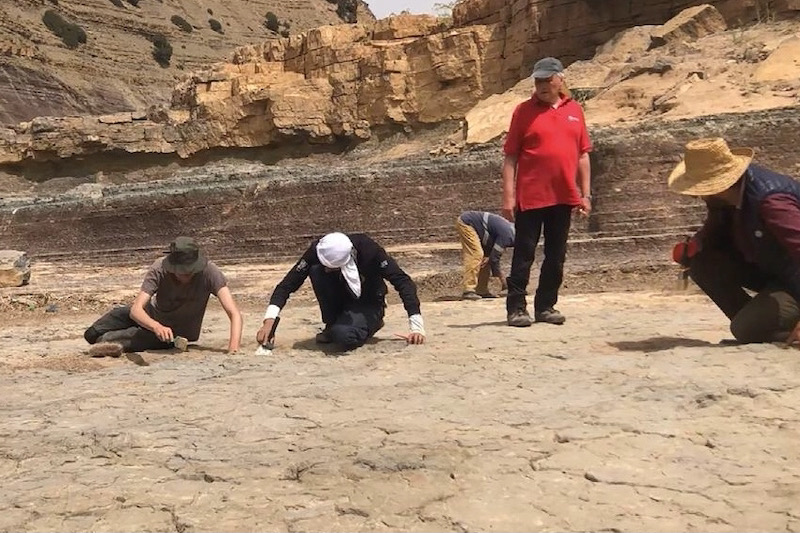 دراسة علمية تقتفي بالمسح التصويري آثار أقدام الديناصورات بإقليم بولمان
