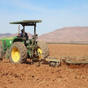 البنك الدولي يتوقع نمو الاقتصاد المغربي بنسبة 3,9% في العام الجاري