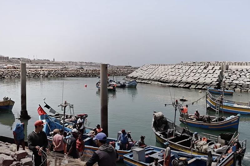 تجار السمك بمرسى سلا