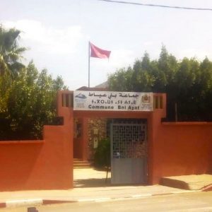 "الأحرار" يفوز بمقعدين في بني عياط