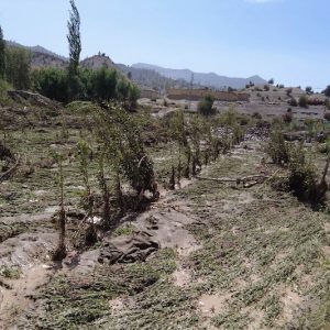 سيول الجنوب الشرقي .. فعاليات تطالب بتعويضات وتدخل قطاعات وزارية