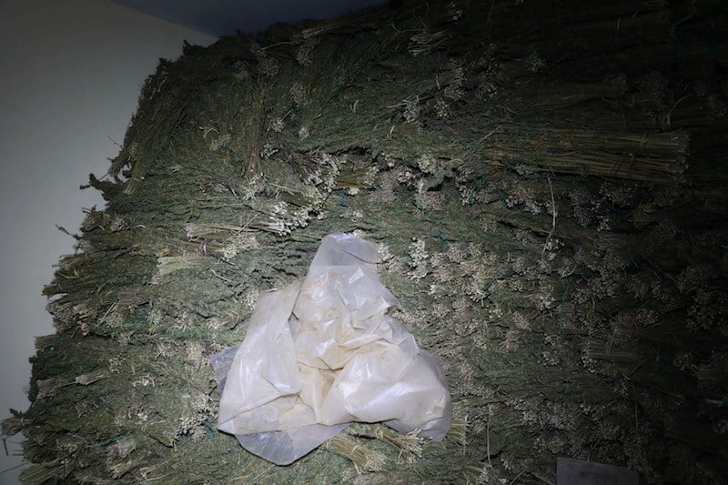 الدرك يحجز طناً من القنب الهندي