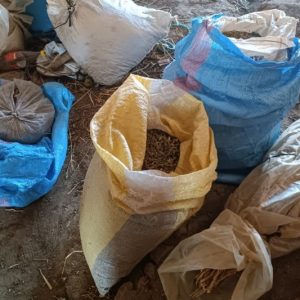 الدرك يحجز "مسحوق الشيرا" ببني جرفط