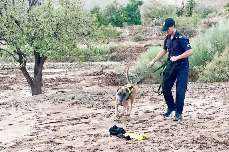 بحث عن فتاة مفقودة في ورزازات
