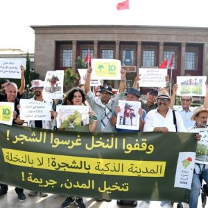 "تنخيل المدن" .. ناشطون مغاربة يحتجون أمام البرلمان لإيقاف "جريمة بيئية"