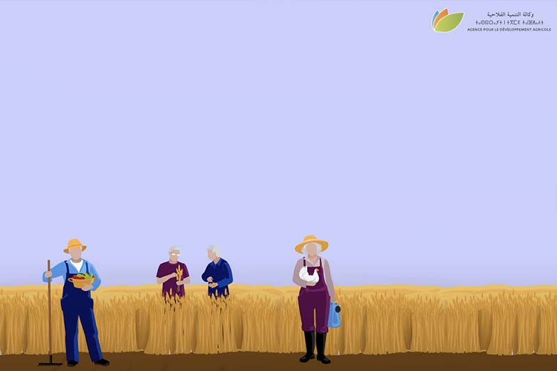 دعم الفلاحة التضامنية