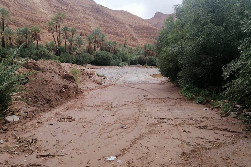 "فيضانات شتنبر" تحصد مديح فلاحي الجنوب الشرقي وسط غياب الأمطار