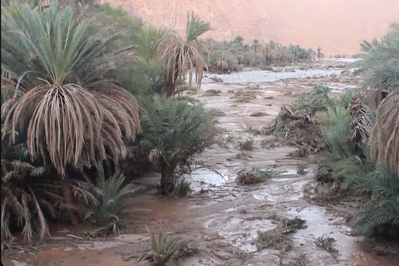 مخلفات سيول طاطا