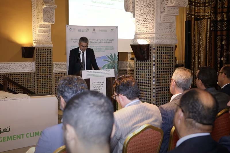 قطاع النخيل يتحدى الإكراهات