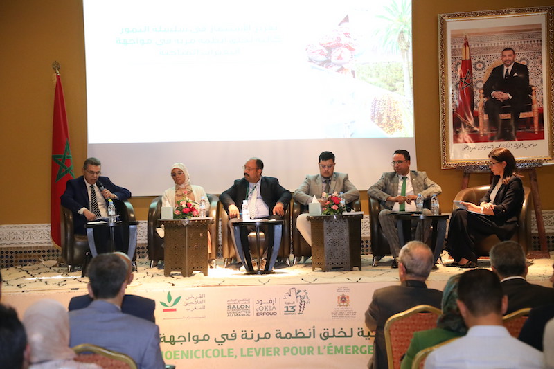 الاستثمار ضمن قطاع النخيل يتدارس التطوير في ظل التغيرات المناخية