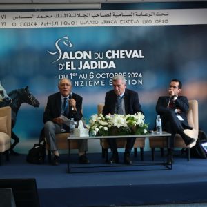 محاضرة تقارب تربية الخيول في المغرب