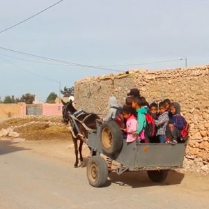 "كرويلة" و"بيكوب".. غياب النقل المدرسي يضطر تلاميذ القرى إلى بدائل خطرة