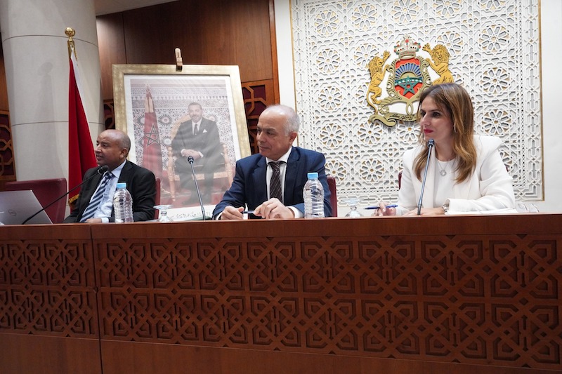 بنموسى: العمل الإحصائي في المغرب يحترم المعايير الدولية ويتطور باستمرار