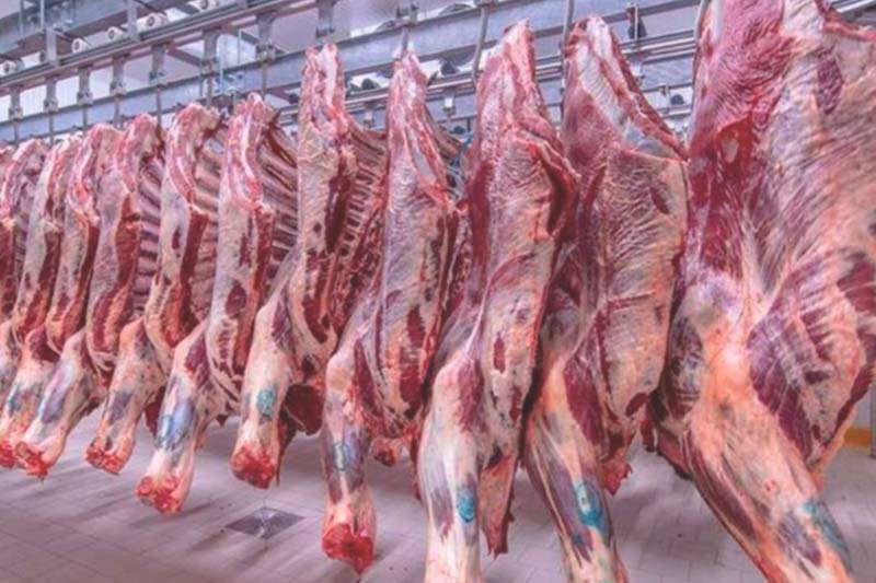 الحكومة واستيراد اللحوم