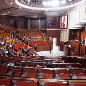 اتهام نائبة برلمانية للمعارضة بالترويج لأجندات خارجية يثير جدلا سياسيا