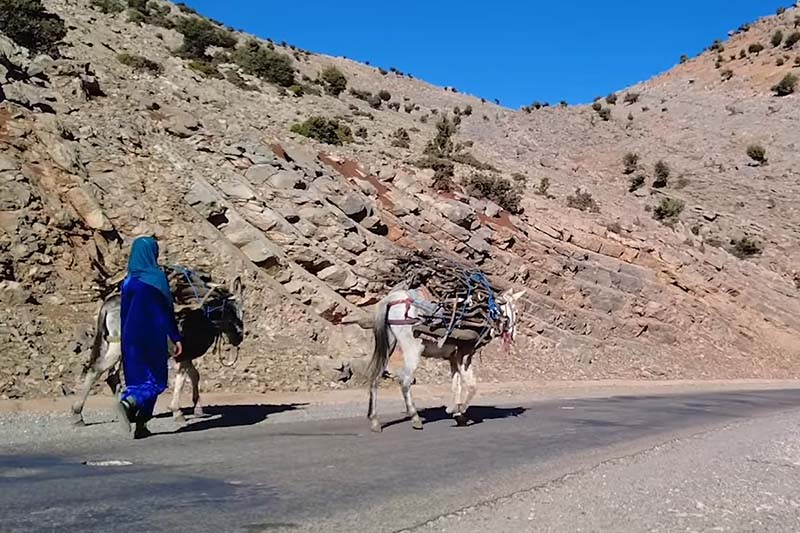 سكان الجبال  يواجهون البرد