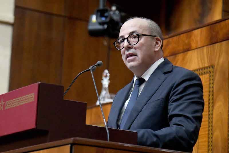 وزير الفلاحة: ارتفاع الطلب وراء غلاء اللحوم .. وأسعار الخضر "مستقرة'"